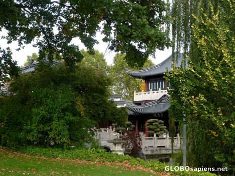 Postcard Chinese Teahouse