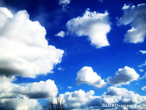 Postcard The clouds are flying over...