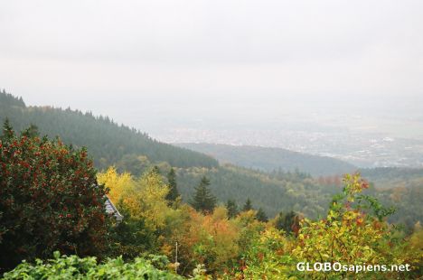 Postcard Autumn has come!