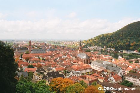 Postcard Overlooking Heidelberg from the Schloss Heidelberg