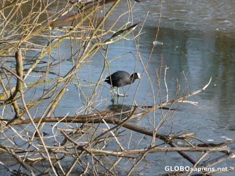 Postcard Cold feet -