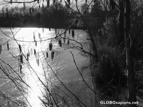 Postcard Icy waters (b+w)