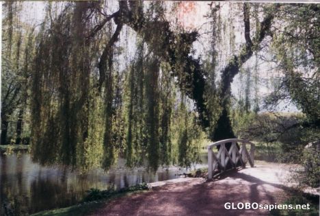 Postcard Schlosspark Schwetzingen -