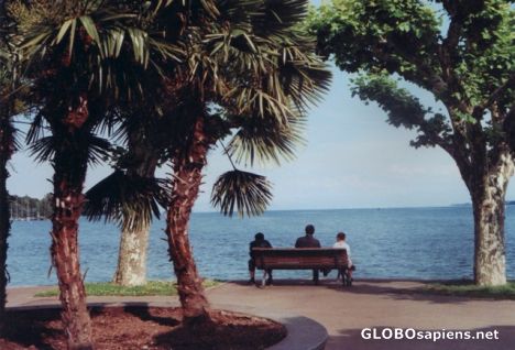 Postcard Siesta -