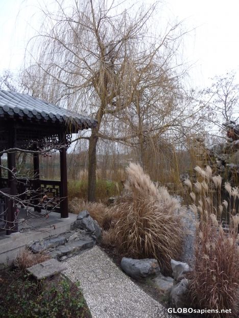 Postcard Winter in China??? 