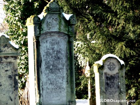 Postcard Tombstones