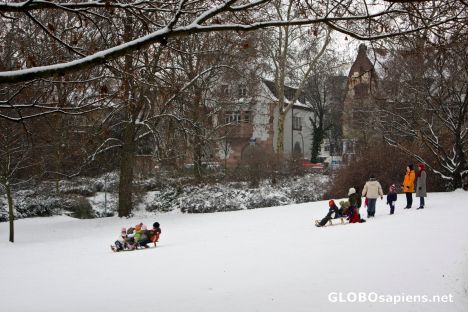 Postcard Winter fun -