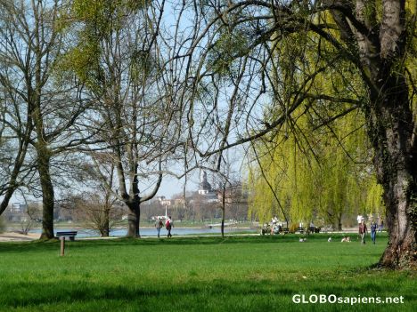 Postcard Waldpark