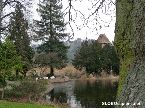 Postcard Winter in the Schlosspark -