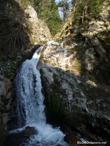 Postcard Only a trickle now -