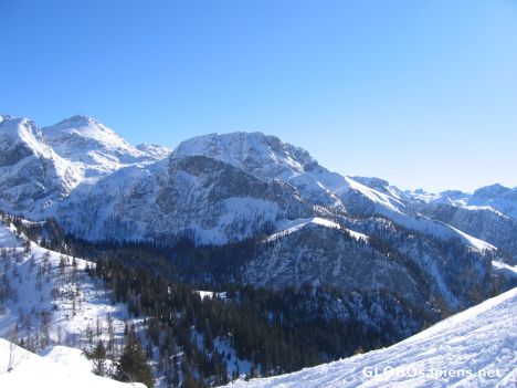 Postcard Jennerstier 2008