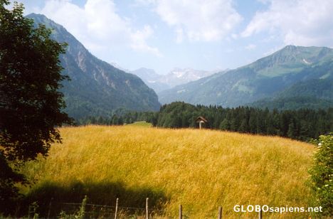 Postcard Summertime in the Allgau