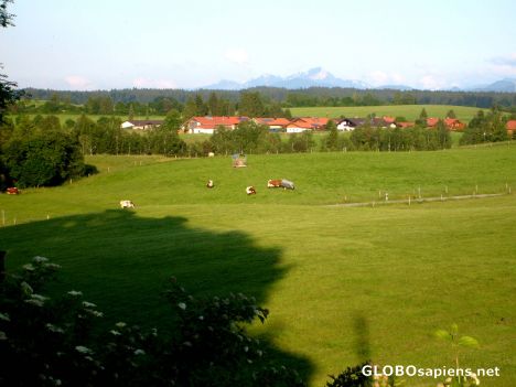 Postcard Meadows