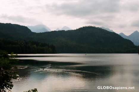 Postcard Lake Alpsee