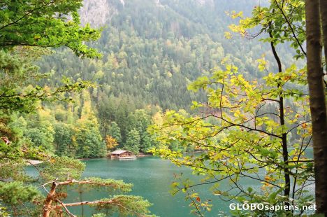 Postcard Lake Alpsee