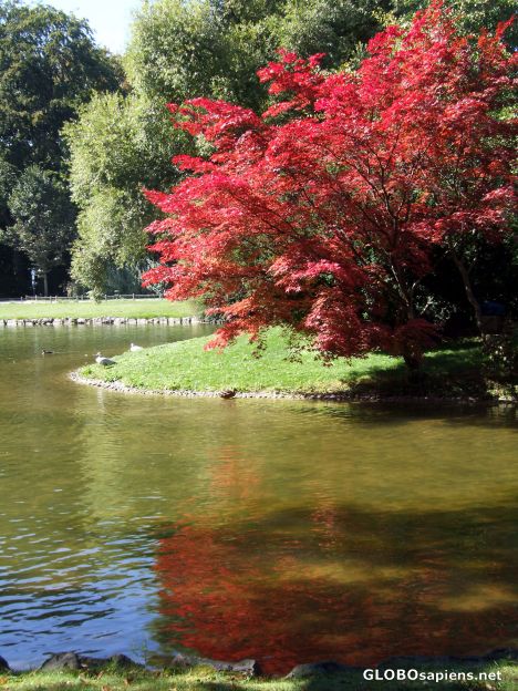Postcard Englischer Garten