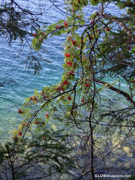 Postcard Clear waters