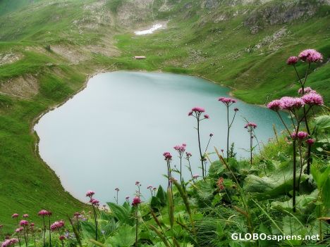Postcard Summer lake