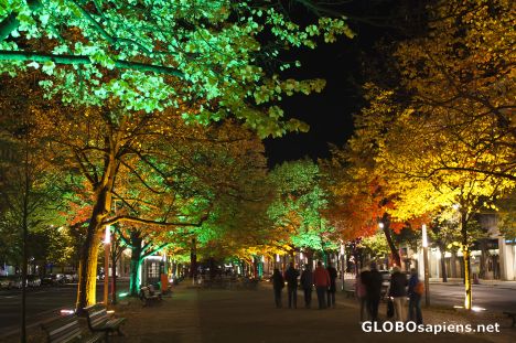 Postcard Under the linden trees