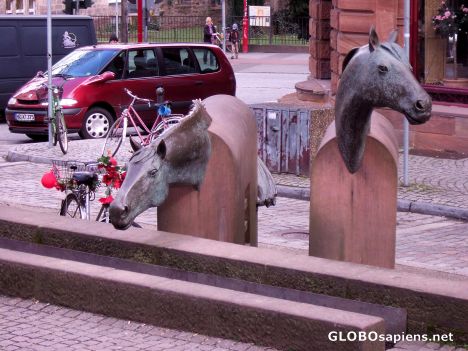 Postcard Horses