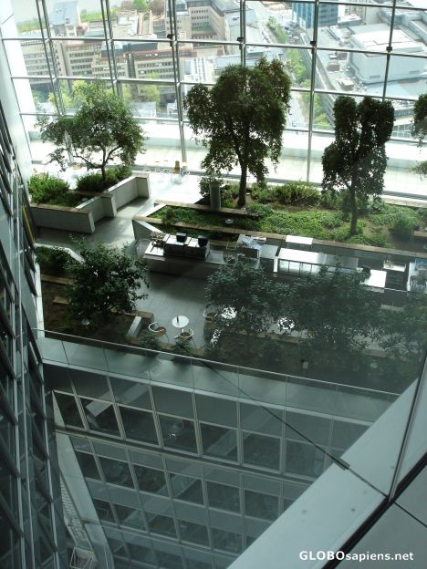 Postcard Sky Garden in CB Tower