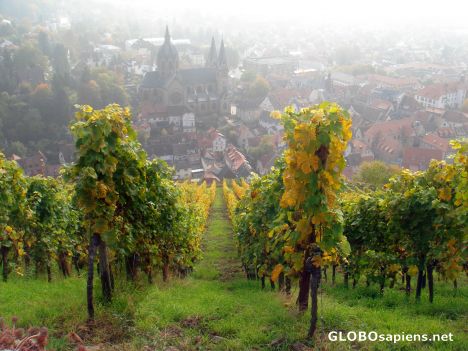 Postcard heppenheim from above