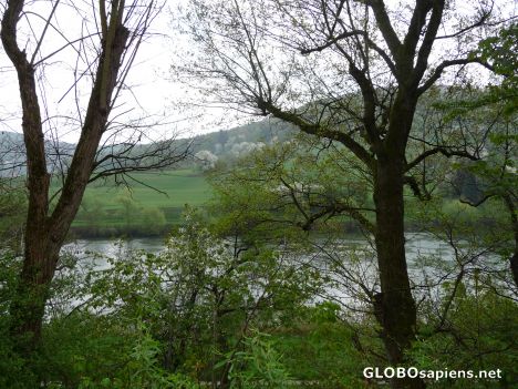 Postcard Neckar river