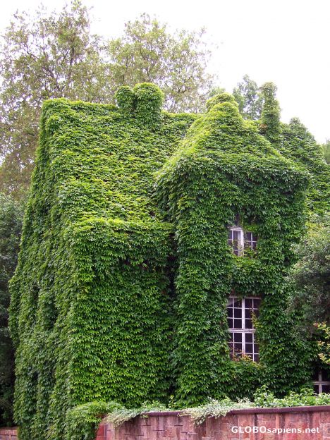 Postcard Camouflaged house 1