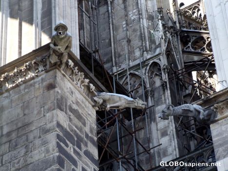 Postcard Gargoyles