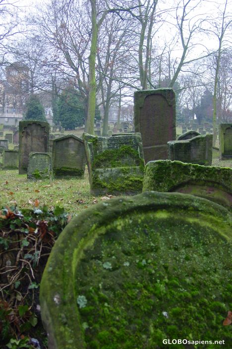 Postcard The Oldest Jewish Cemetery in Europe