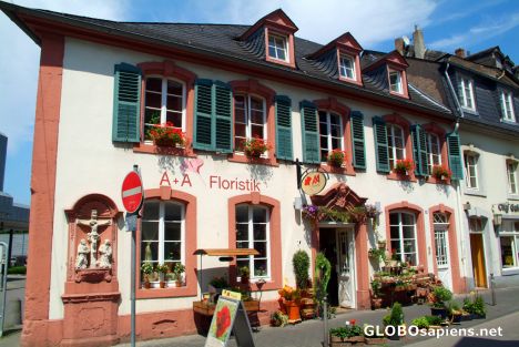 Postcard Trier - Florist