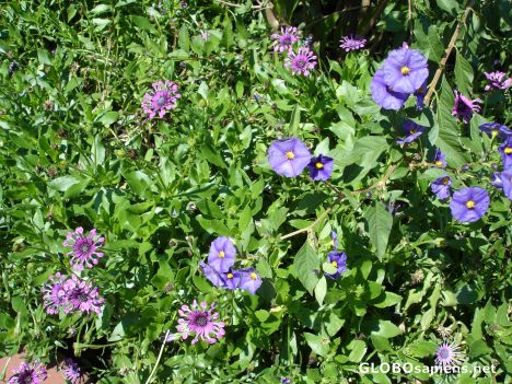 Postcard All in blue -