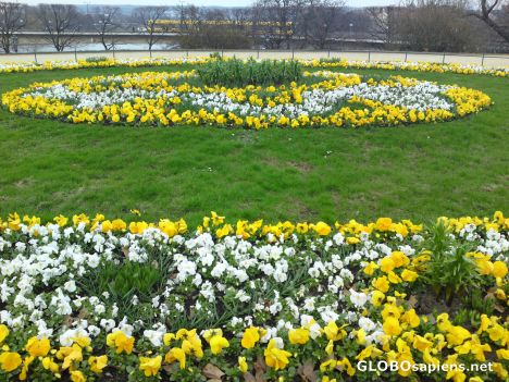 Postcard Flowery season