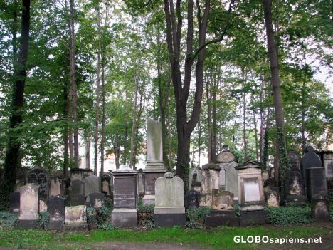 Postcard The Old Jewish Cemetery