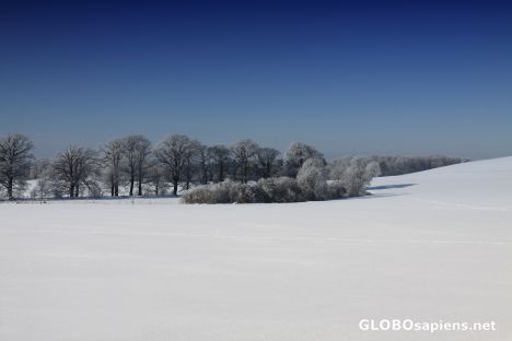 Postcard a real winter