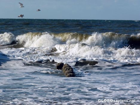 Postcard North Sea