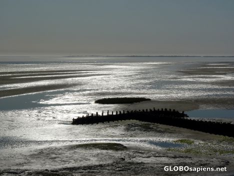 Postcard Mud flats