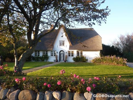 Postcard Frisian house