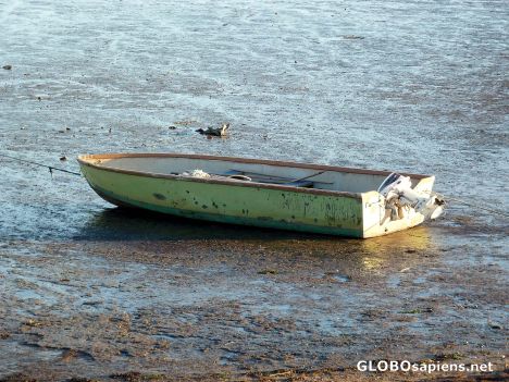 Postcard Stranded