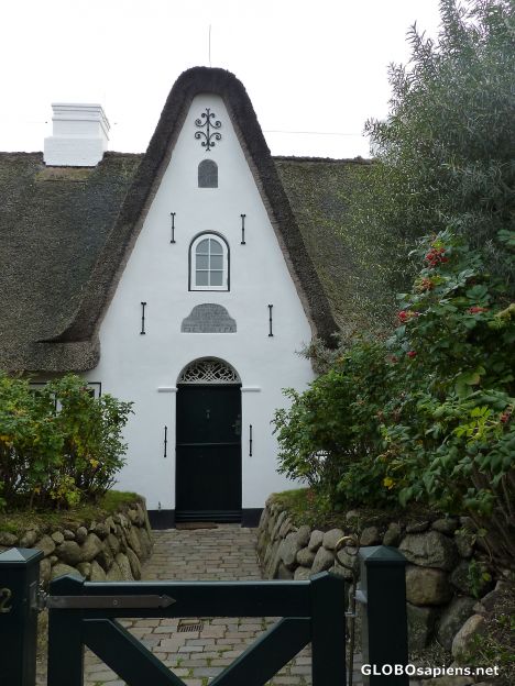 Postcard Another Frisian House