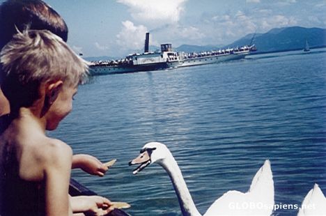 Postcard Swan Lake