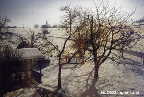 Postcard Icy Day