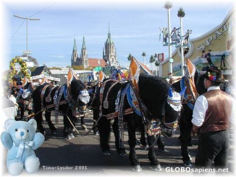 Postcard OKTOBERFEST 2001 - HB Horses