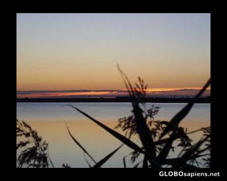 Postcard Senftenberger See