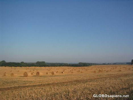 Postcard Havesting far north in Germany