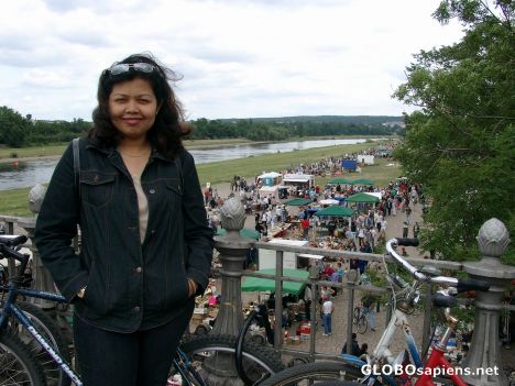 Postcard Dresden - Flohmarkt!