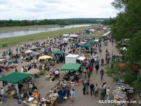 Postcard Dresden - By river Elbe