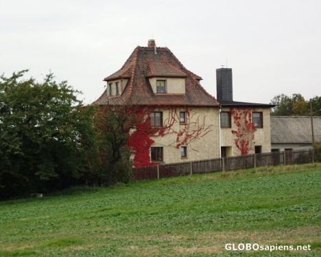 Postcard House with red vine