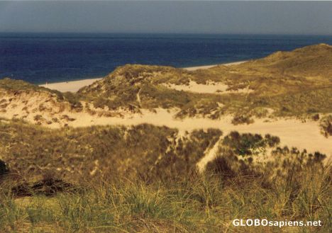 Postcard Sylt