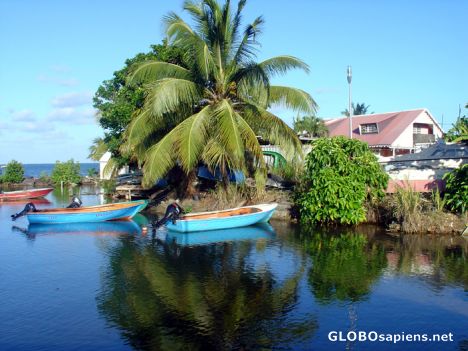 Postcard Goyave - Harbour